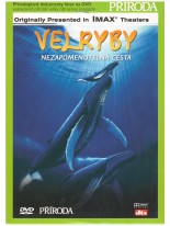 Velryby DVD