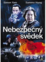 Nebezpečný svědek DVD