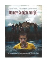 Domov šedých motýlů DVD