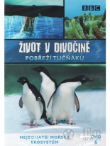 Život v divočine 6 Pobřeží tučňáků DVD