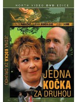 Jedna kočka za druhou DVD