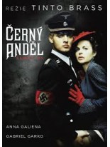 Černý andel DVD